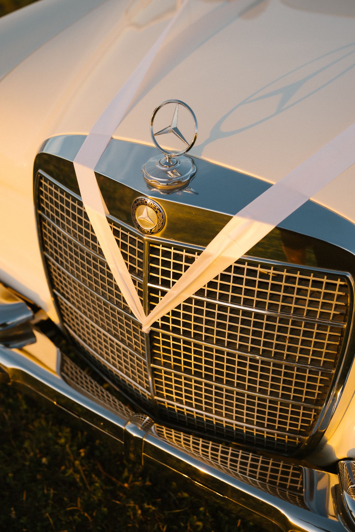 Vintage white Mercedes-Benz wedding car decorated with white ribbon bow on the grille.