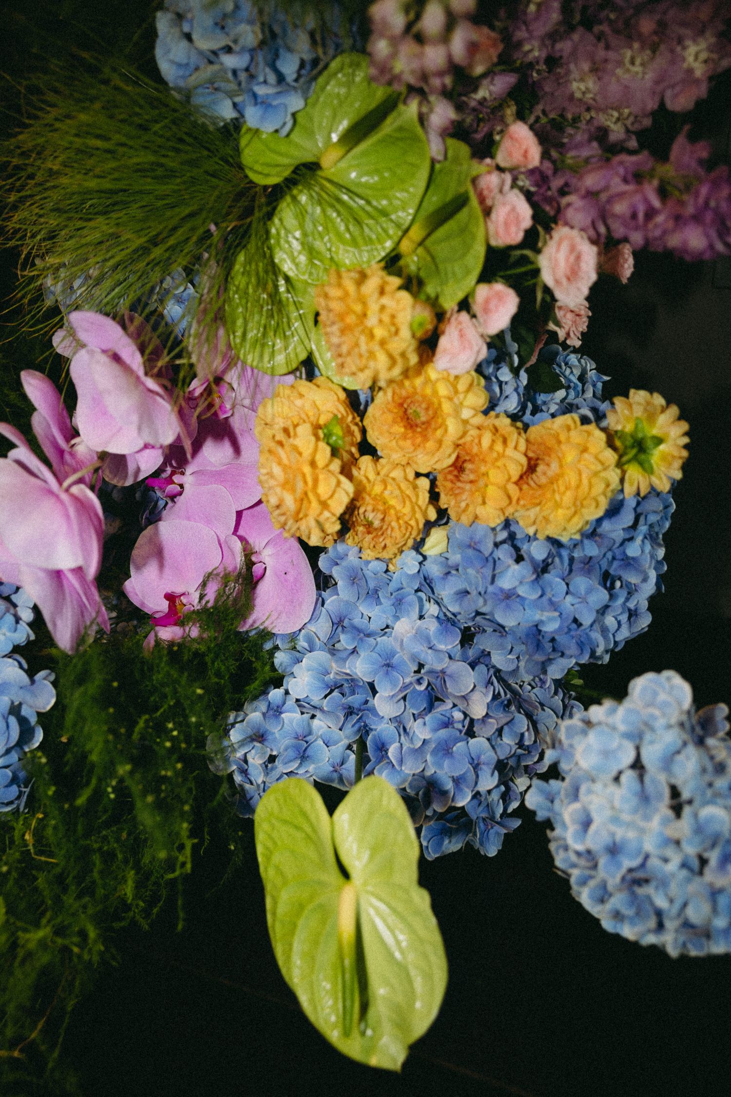 Colorful wedding bouquet featuring blue hydrangeas, yellow dahlias, pink orchids, and green anthurium leaves.