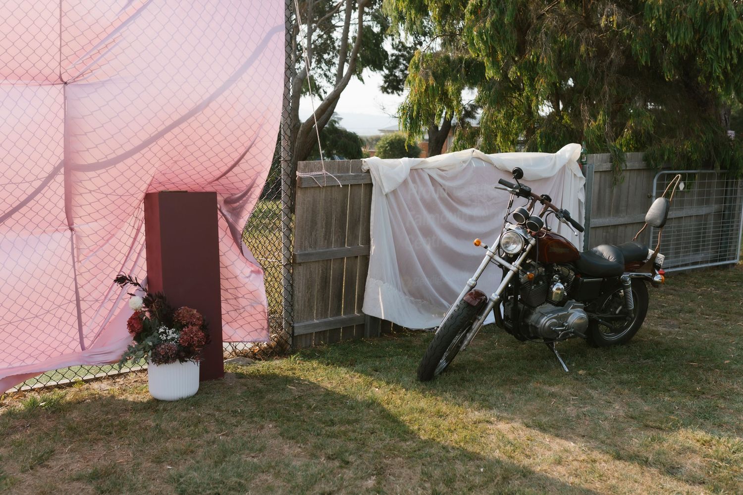 Motorcycle parked in a backyard beside a pink fabric fence and white sheet draped over a chain-link fence.