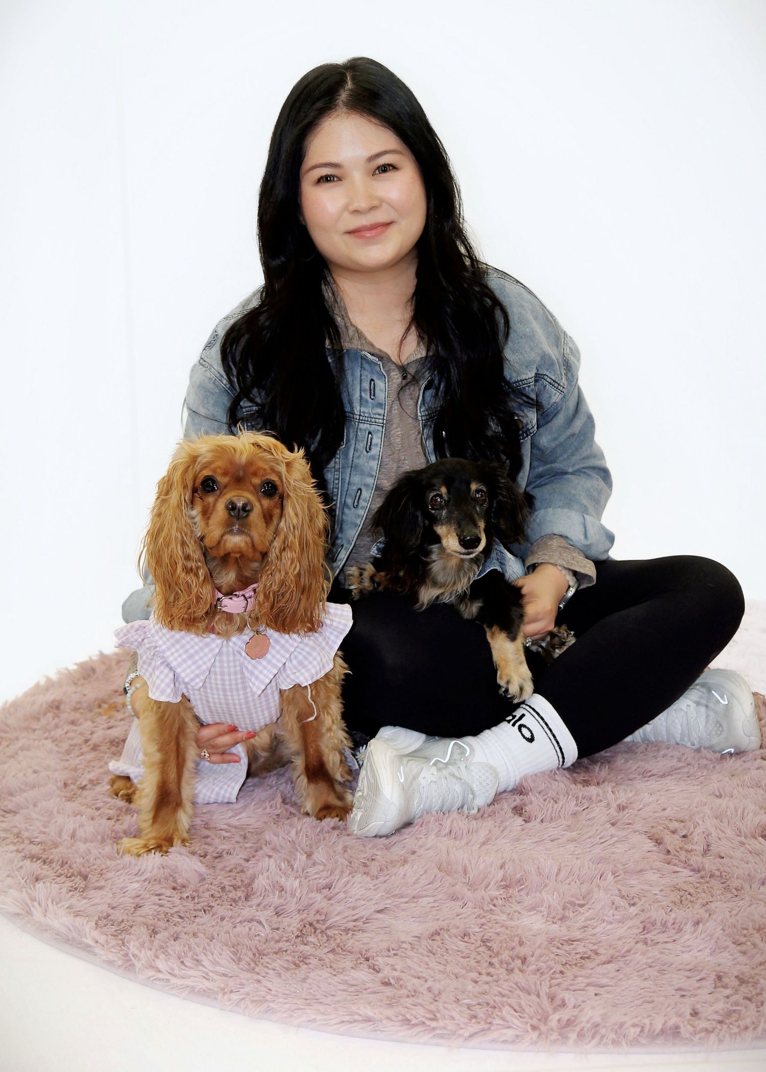 Pet portraits.