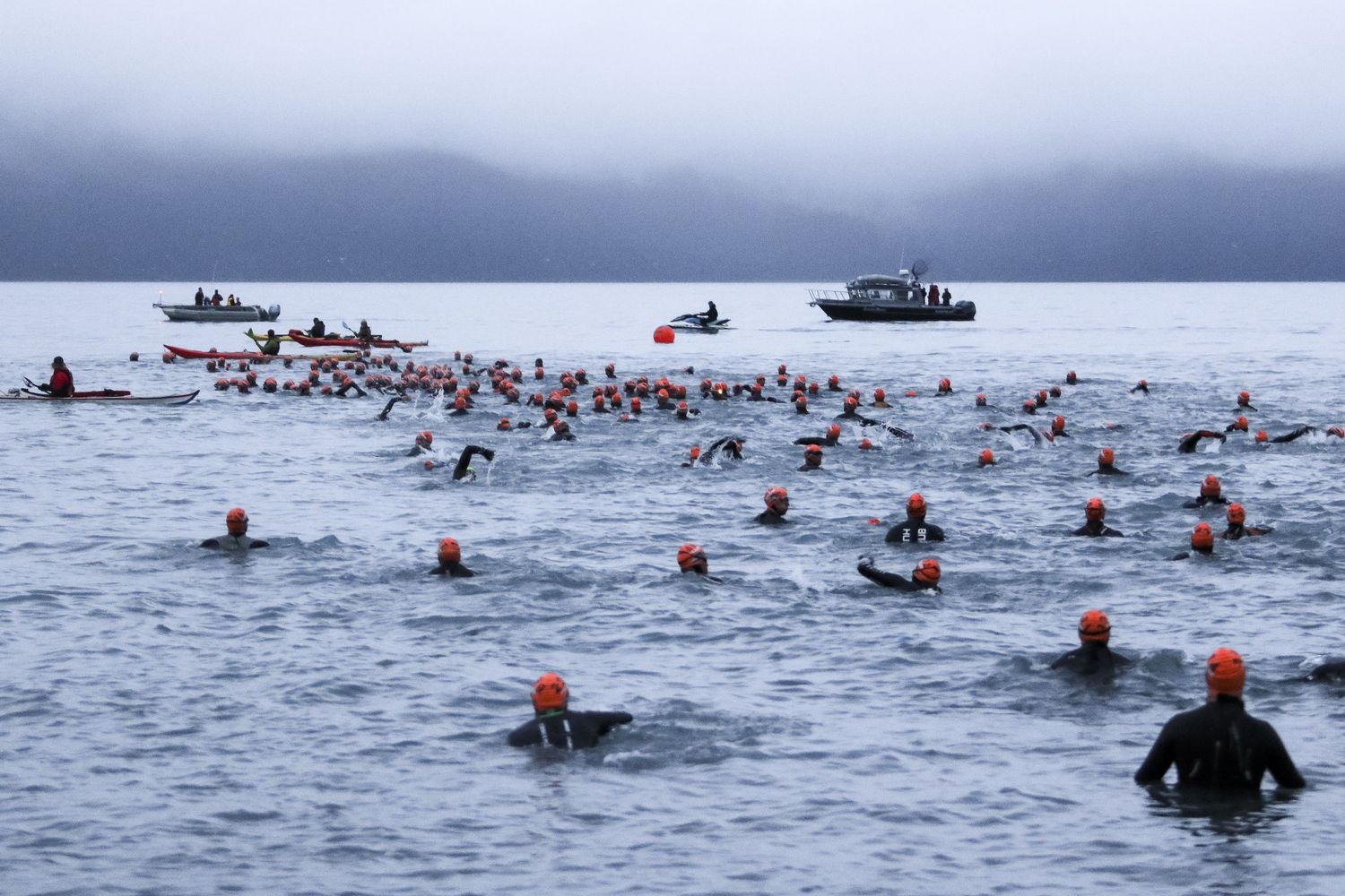 Large group of swimmers with orange caps entering foggy lake during triathlon event.