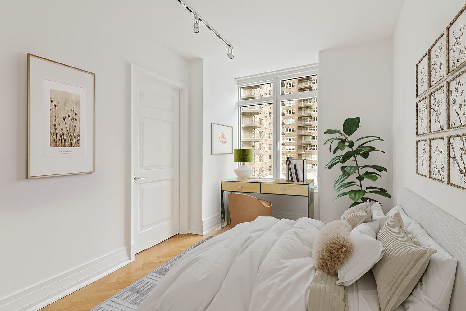 Bright minimalist bedroom with white walls, hardwood floors, large window, track lighting, and a lush green plant in corner.