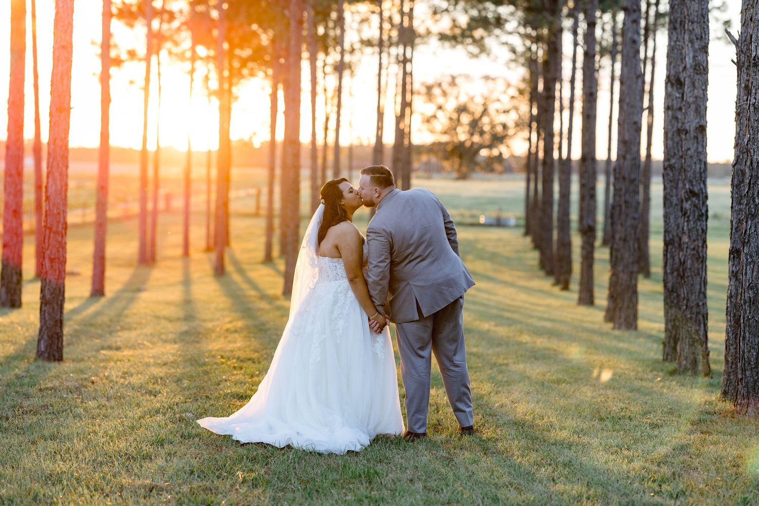 Bride and groom share a romantic kiss among tall pine trees at golden hour sunset wedding.