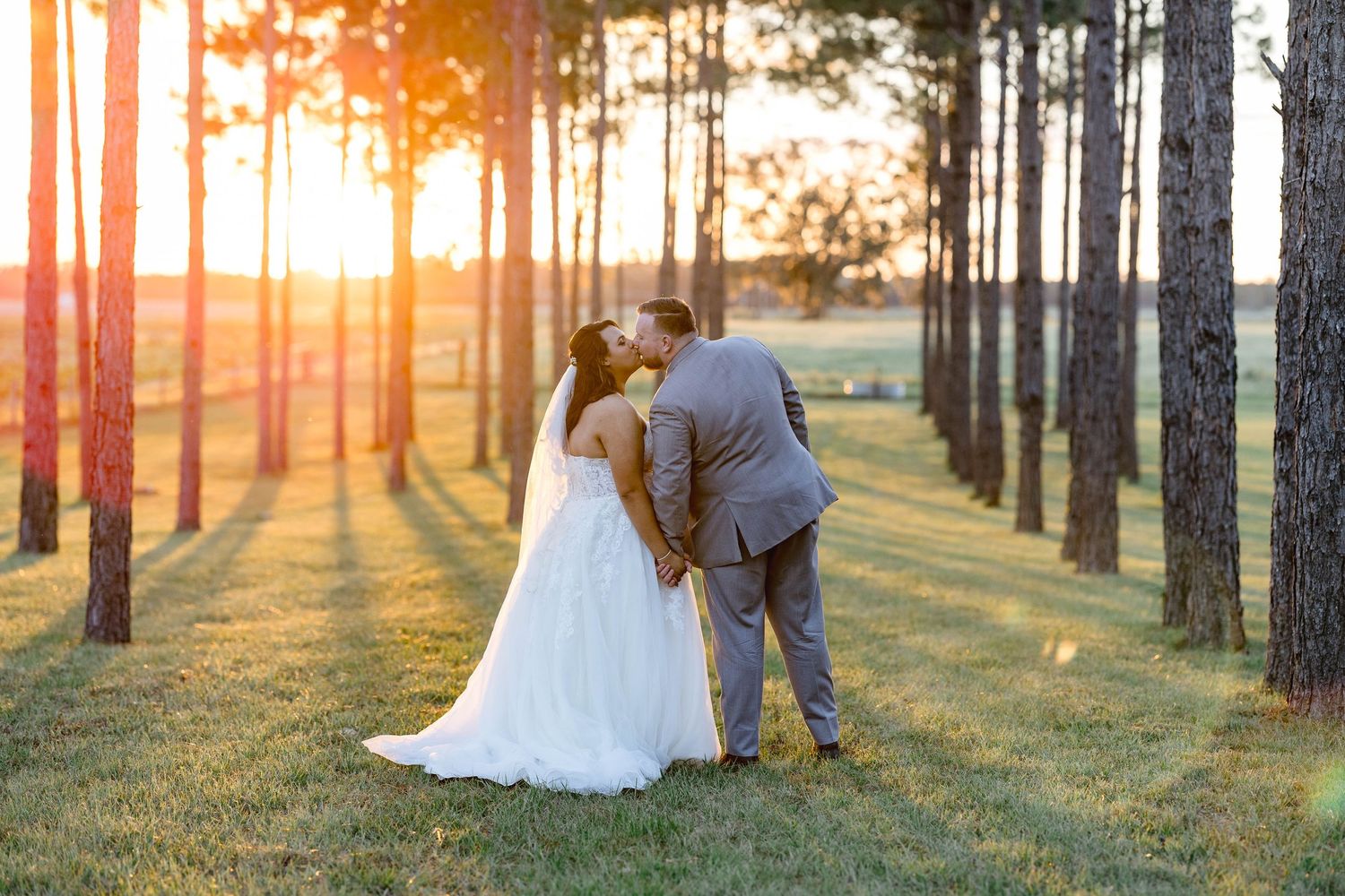 Bride and groom share a romantic kiss at golden hour sunset among tall pine trees at outdoor wedding.