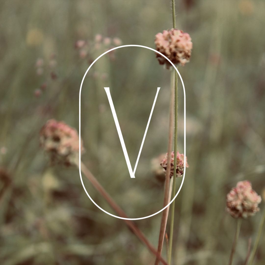 Logo and wildflowers.