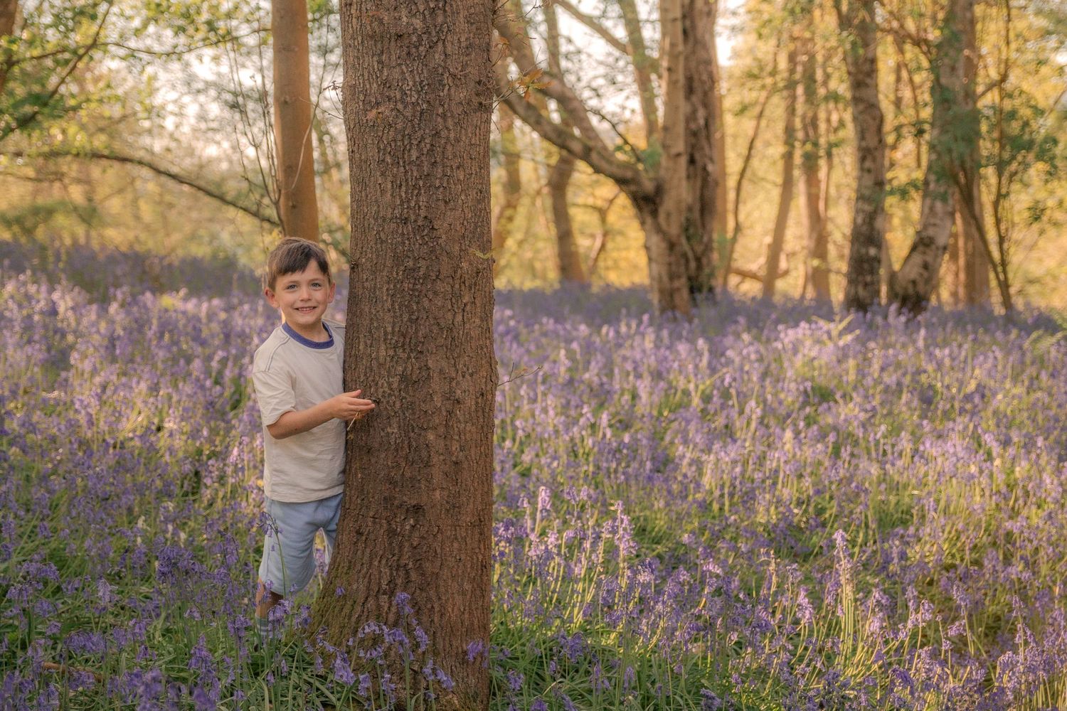 Boy in forest of bluebells.