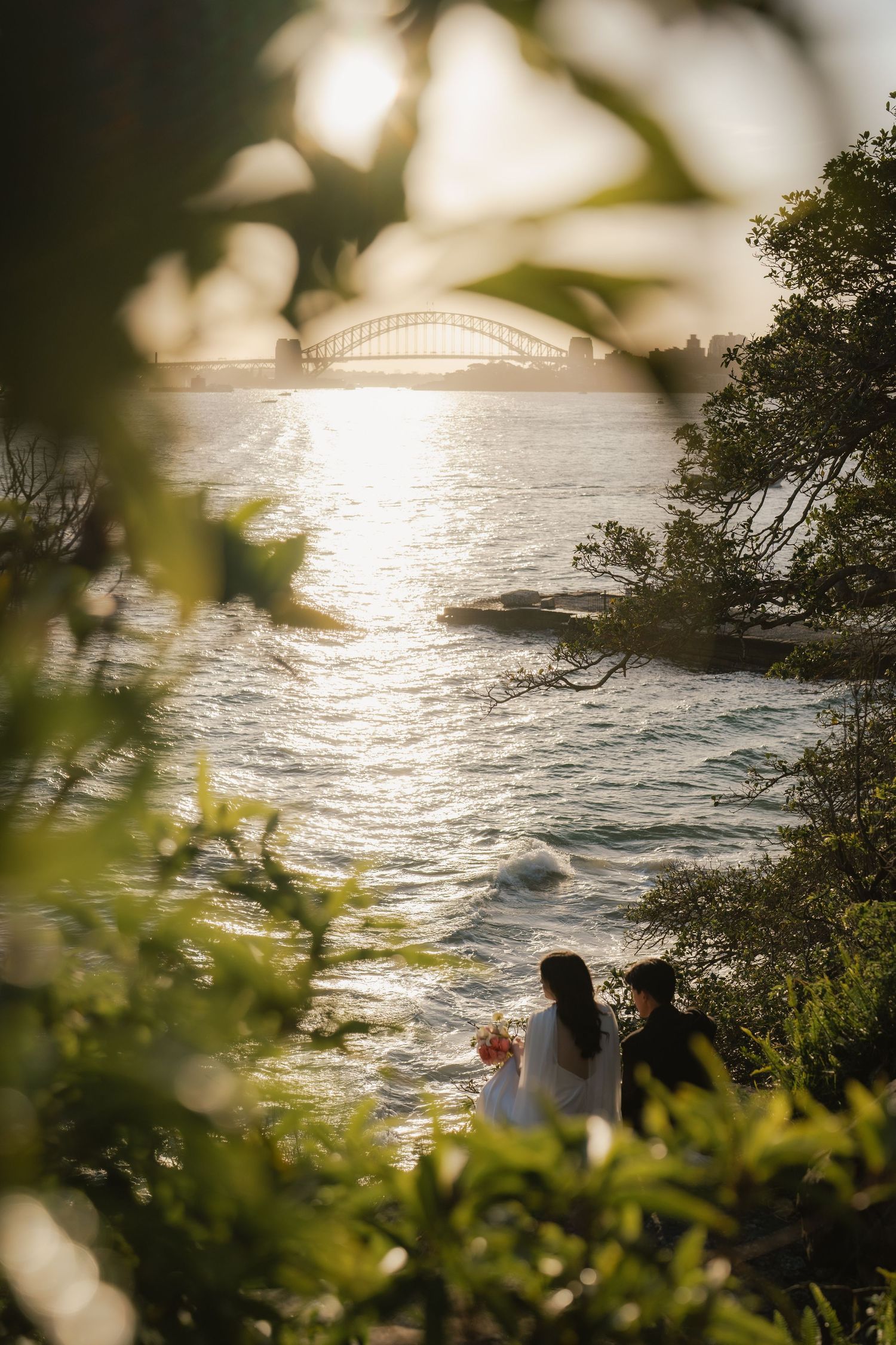 Couple in wedding attire sitting by Sydney Harbour with the iconic Harbour Bridge glowing at sunset, framed by lush greenery.
