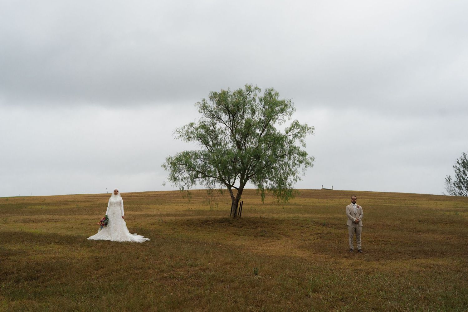 Bride in white gown and groom stand apart on grassy hill with lone tree under overcast sky.