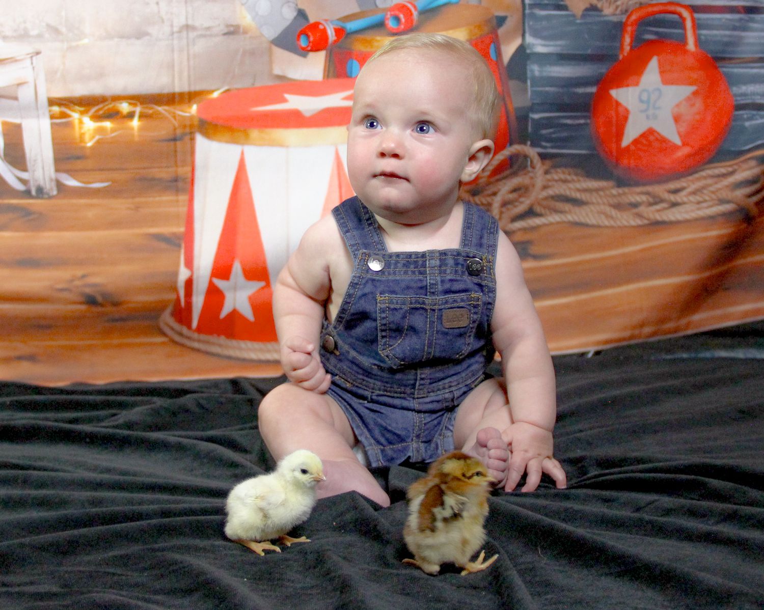 Baby in denim overalls sitting with two baby chicks on black blanket with colorful circus backdrop.