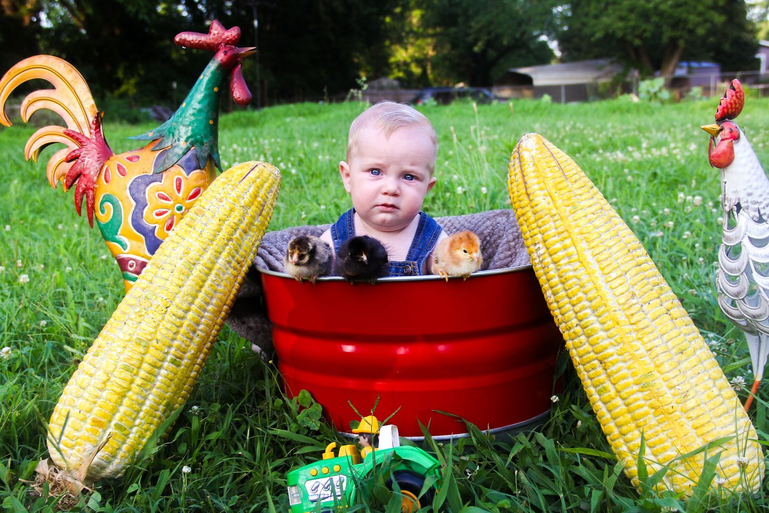 Baby sits in red tub surrounded by corn cobs and colorful rooster decorations on green grass.