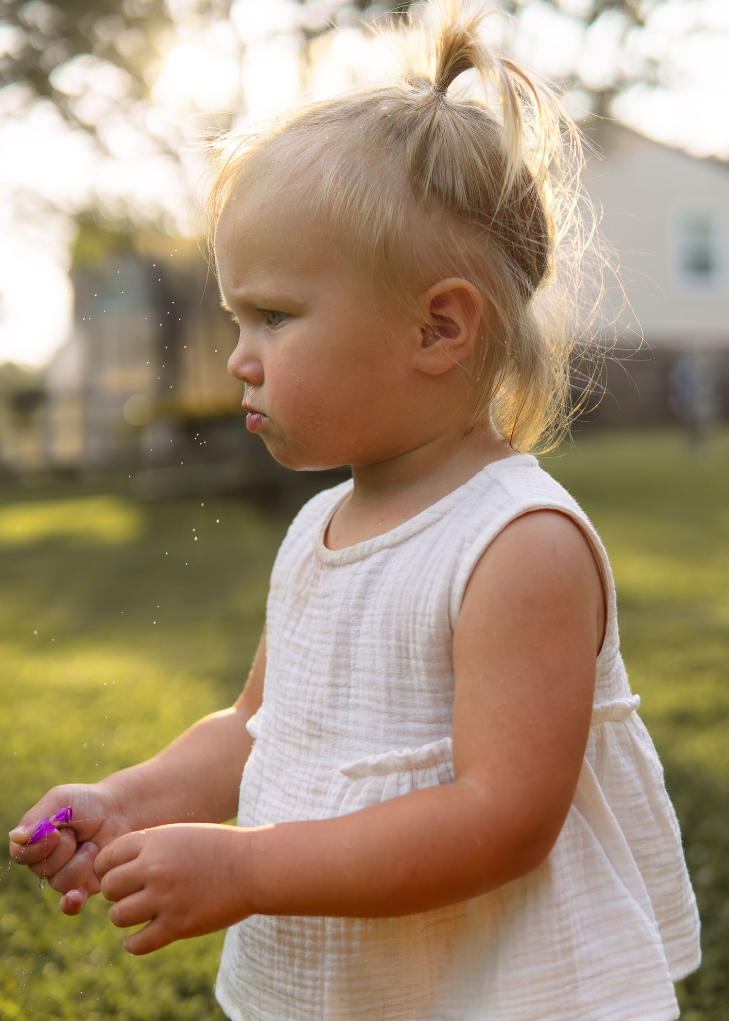 A cute blonde toddler girl with a ponytail stands outdoors in golden evening sunlight.