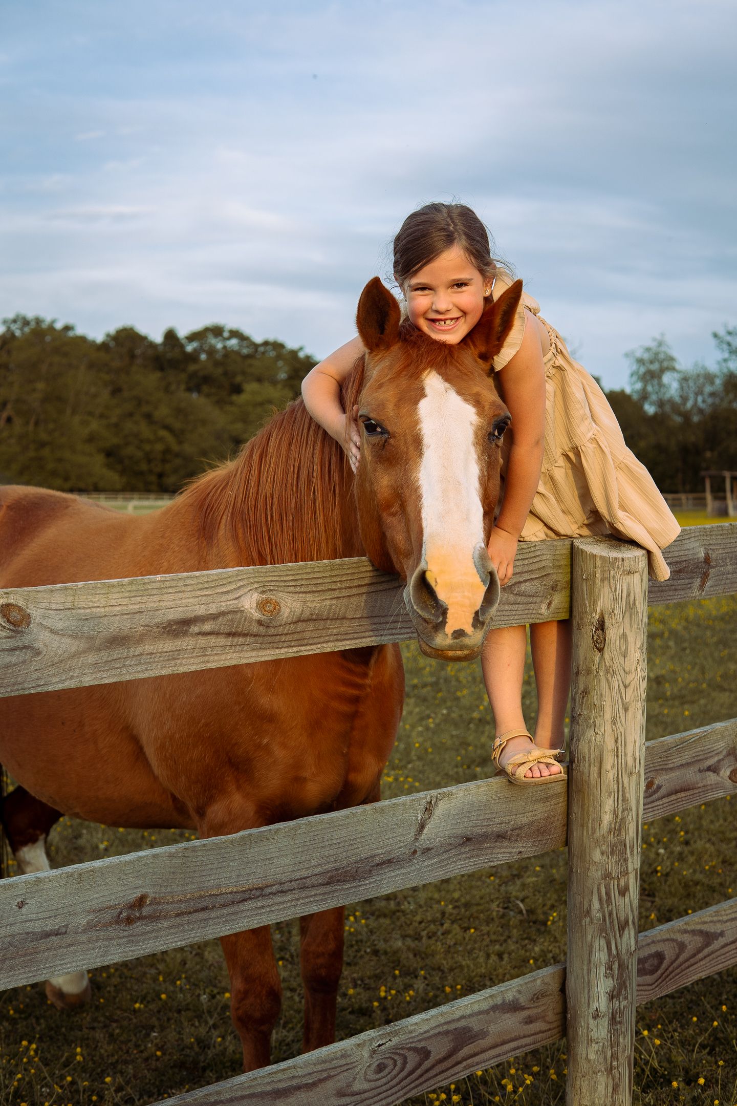 A brown and white horse stands beside a wooden fence where a person leans over to pose with it on a sunny day.