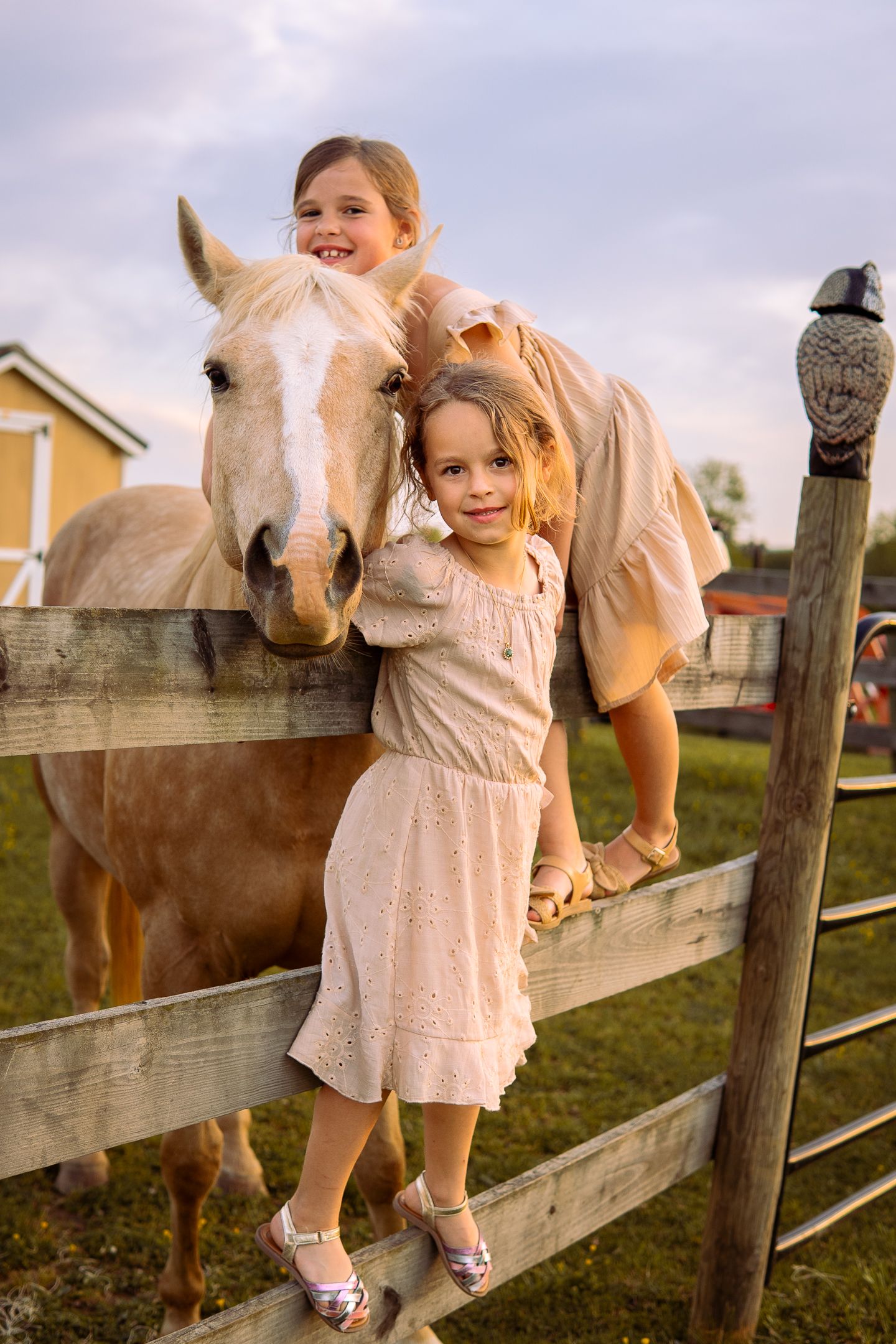 Two young ones stand at a wooden fence with a palomino horse and a falcon perch in a rural farm setting at sunset.