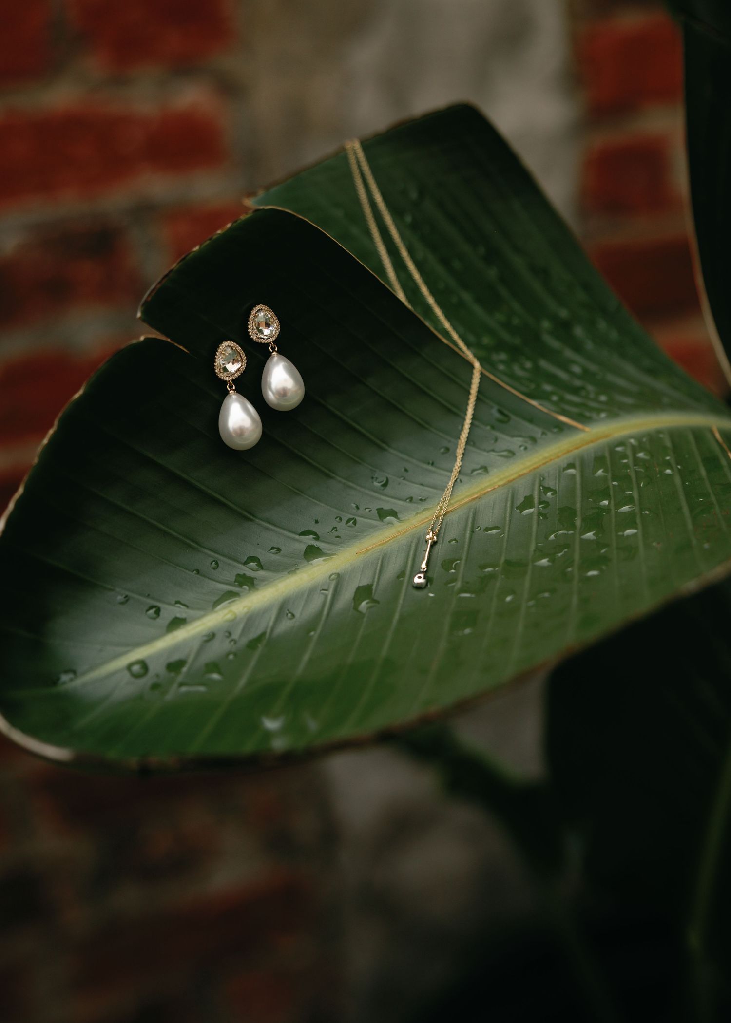 Pearl drop earrings and delicate gold necklace displayed on a lush green tropical leaf with water droplets.