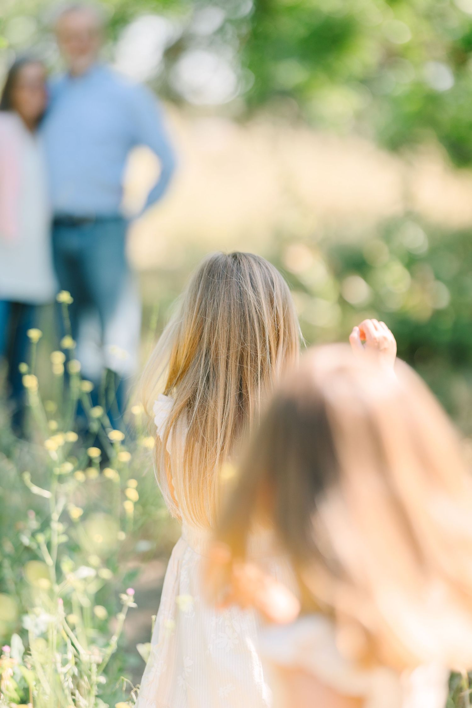 Two blonde girls walking toward parents in a sunny wildflower field, captured from behind in soft natural light.