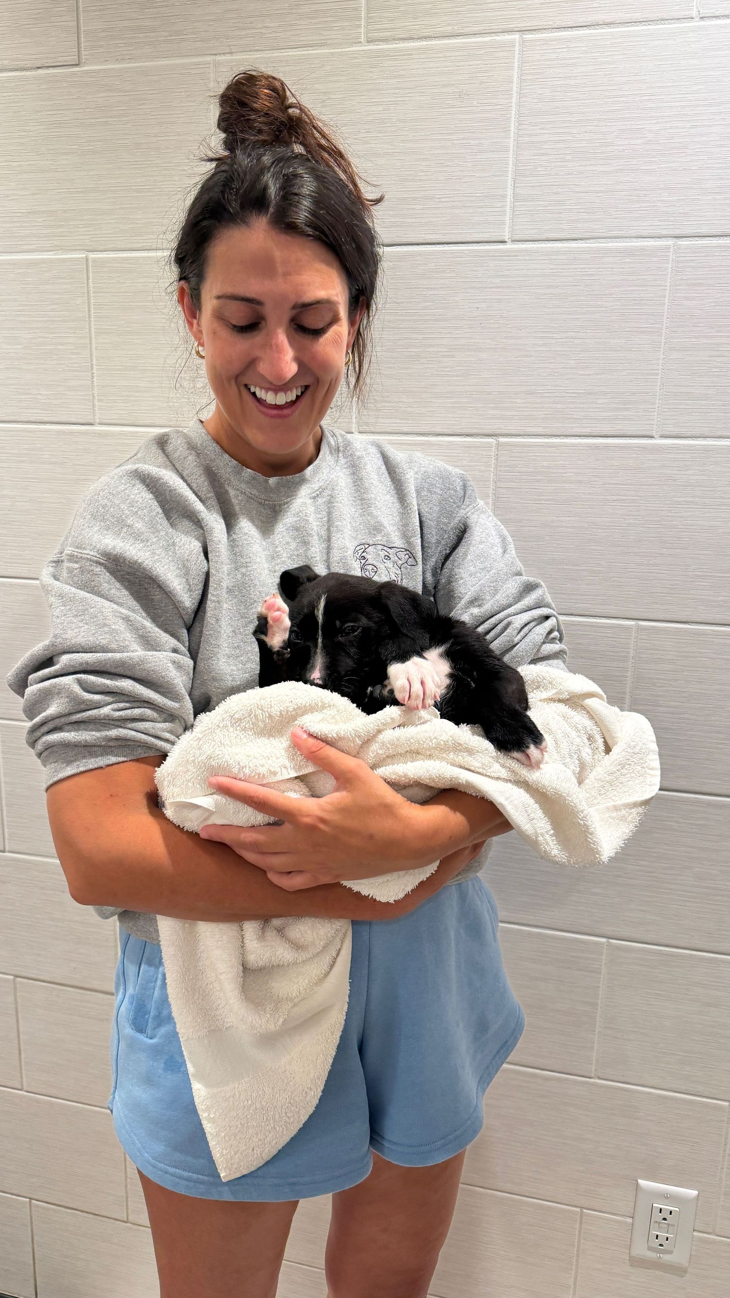Pet photographer holding a freshly bathed small black and white puppy in her arms at the animal shelter