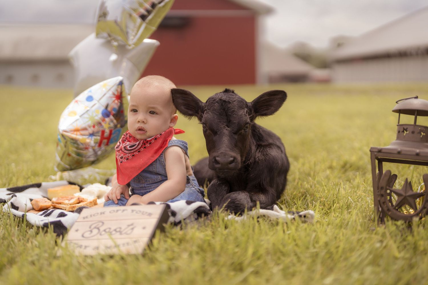 Pets and picnic items scattered on grass near a red building.
