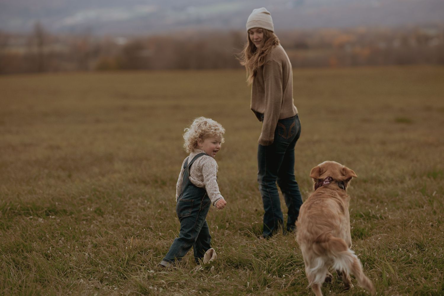 Golden retriever and companions enjoy a lively romp through an open field.