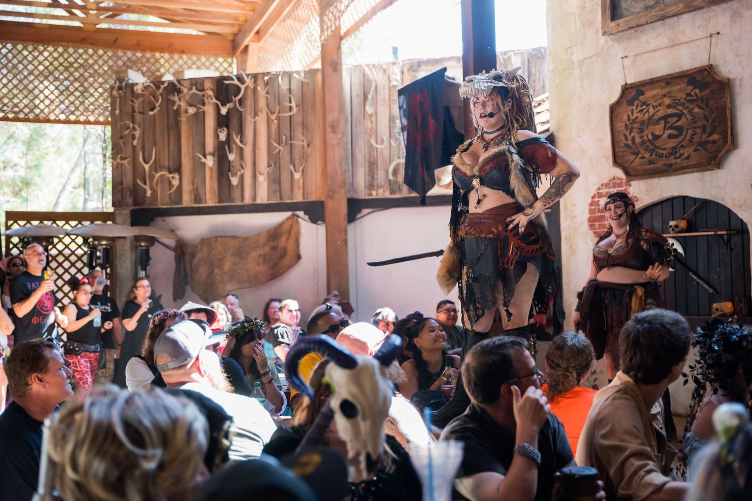 Costumed entertainer performs for gathered audience at outdoor renaissance festival.
