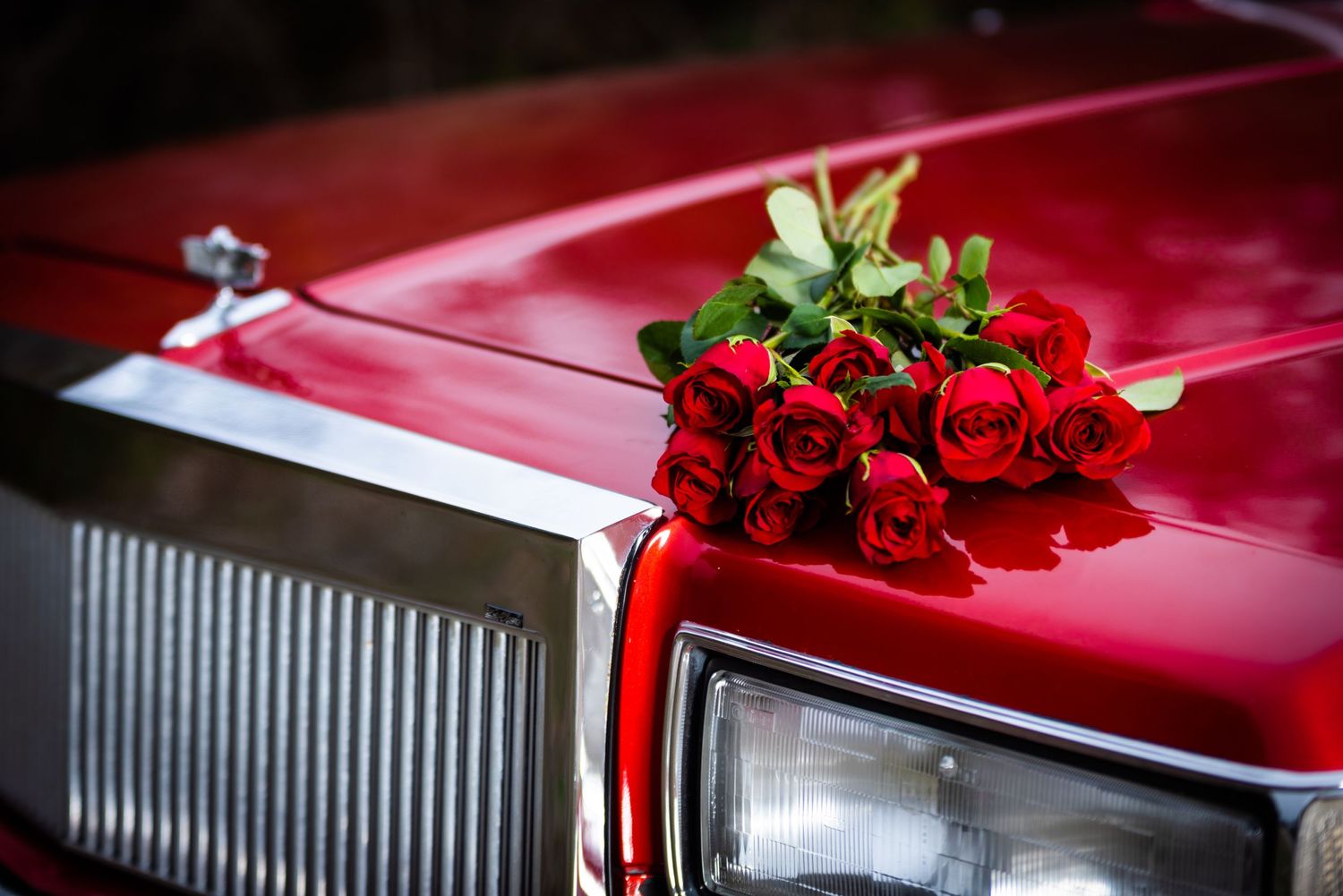 Red roses lay atop a classic red car's hood near the chrome grille.