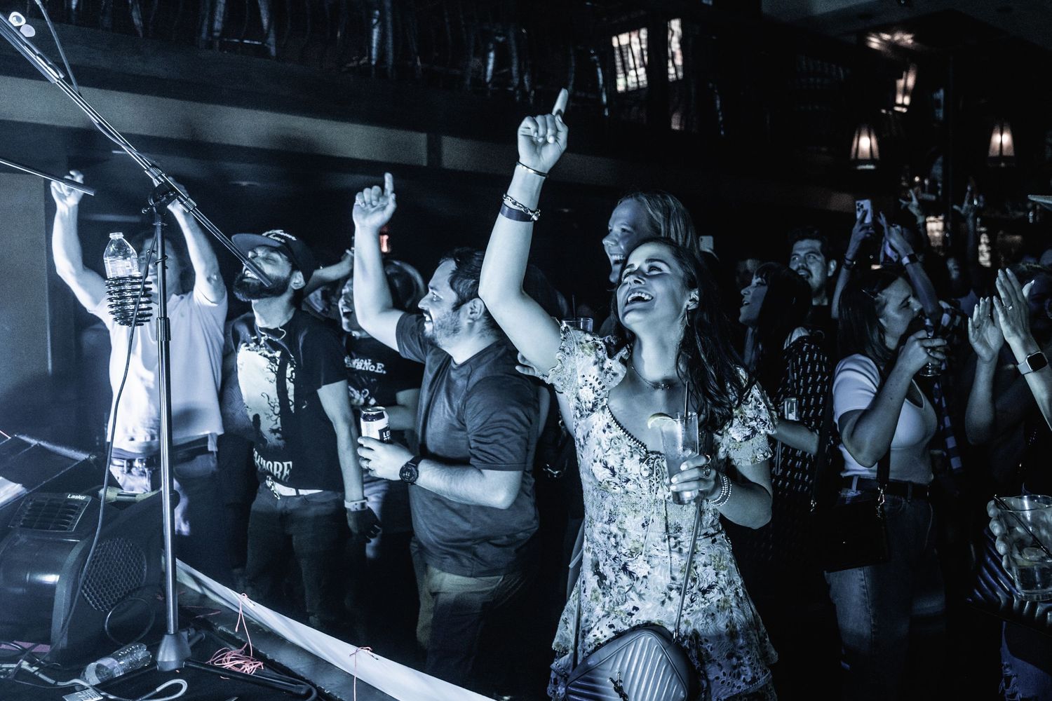 Concert crowd with hands raised dancing and cheering at a nightclub event.