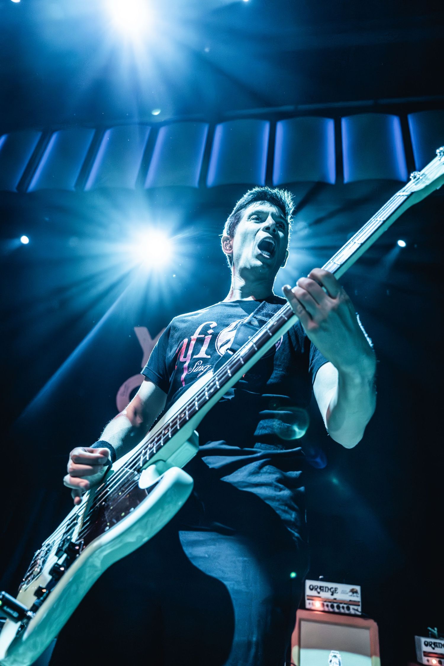 Bass guitarist performs passionately under dramatic blue stage lighting during concert.