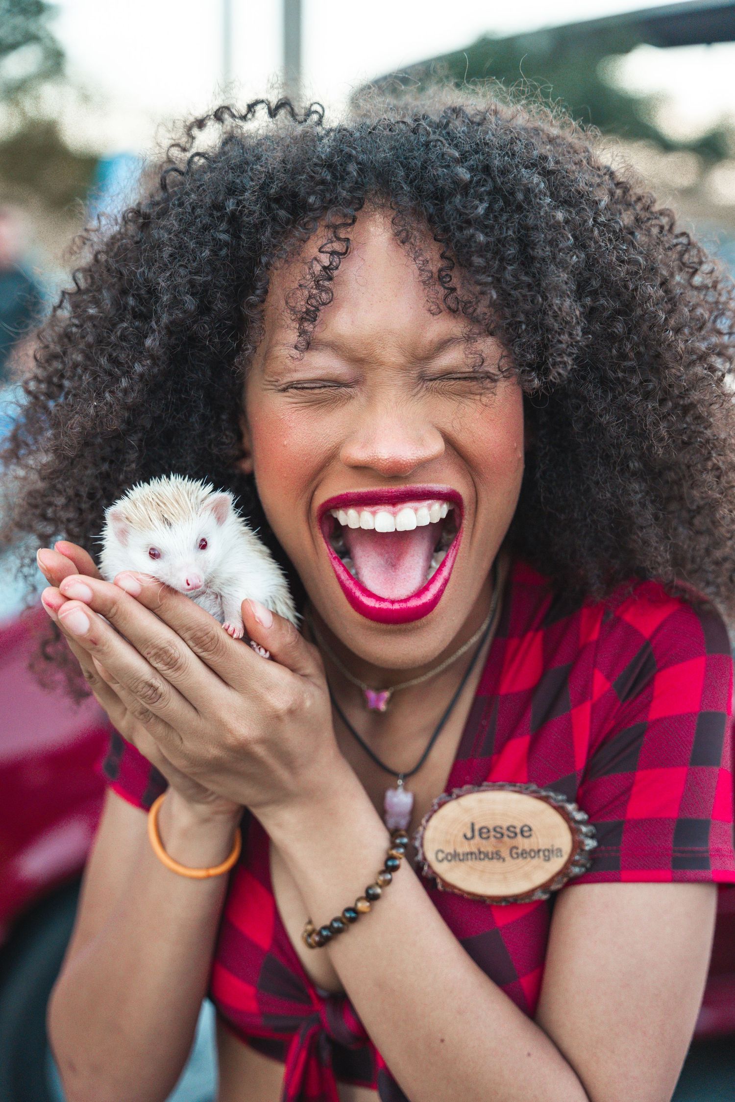 White hedgehog being held gently in cupped hands at outdoor event.