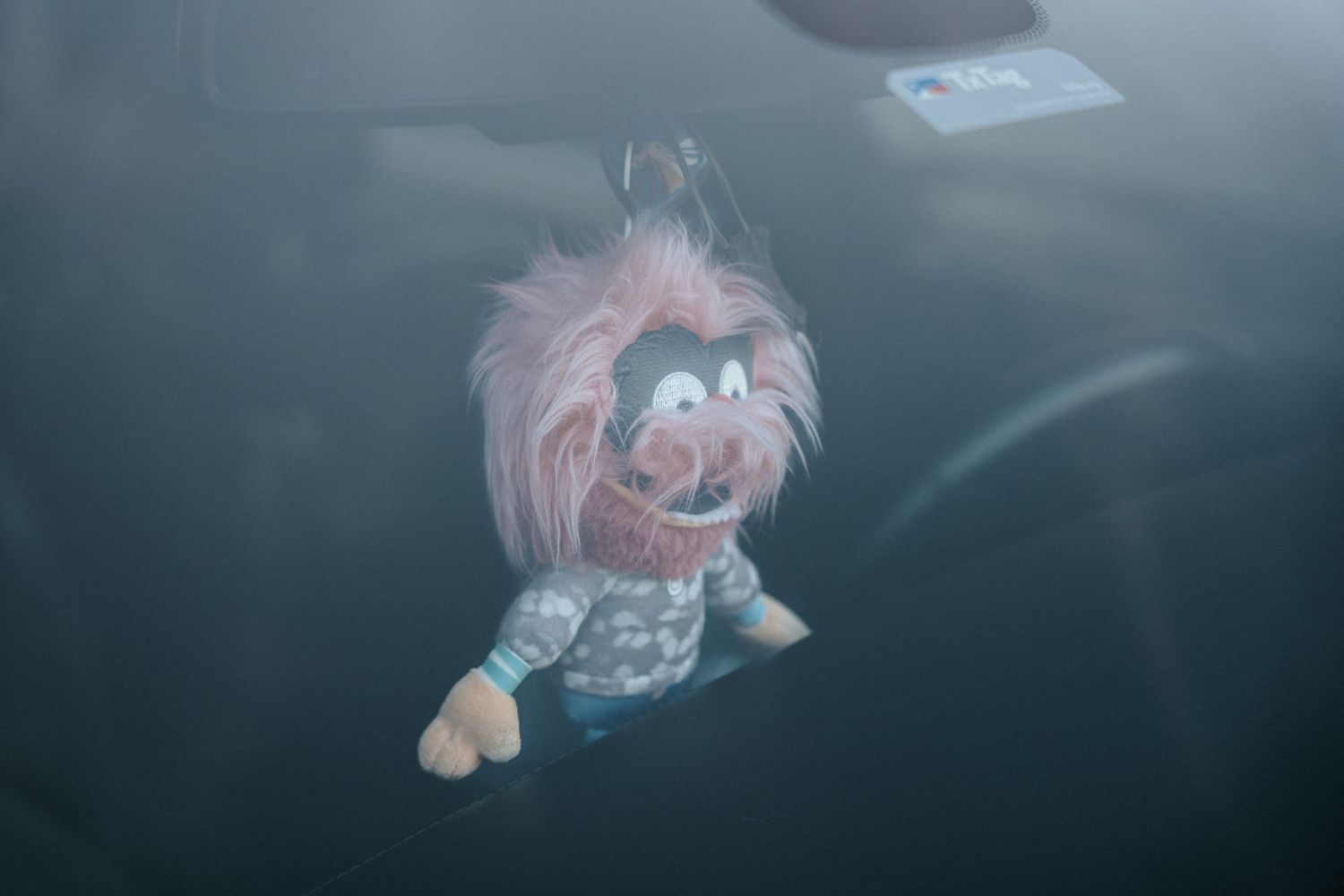 A pink-haired Muppet plush toy hanging from a car's rearview mirror.