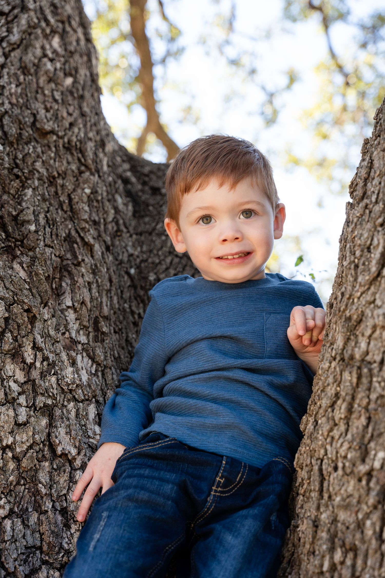 A young child in blue sweater sits between two tree trunks while smiling.