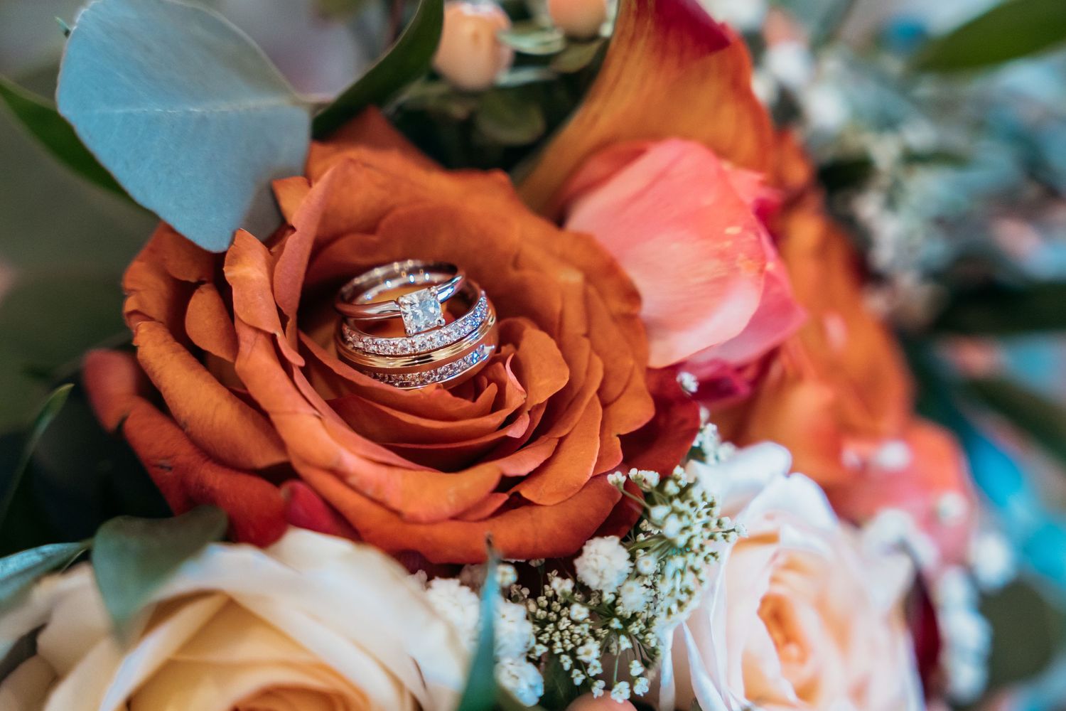 Wedding rings photographed inside a burnt orange rose with baby's breath accents.