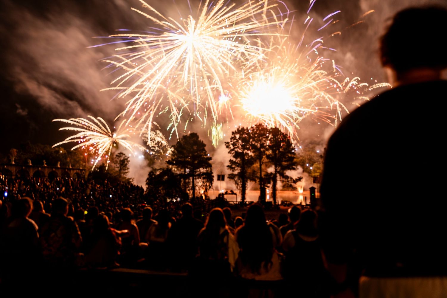 A crowd watches bright fireworks exploding in the night sky above dark trees during an outdoor celebration.
