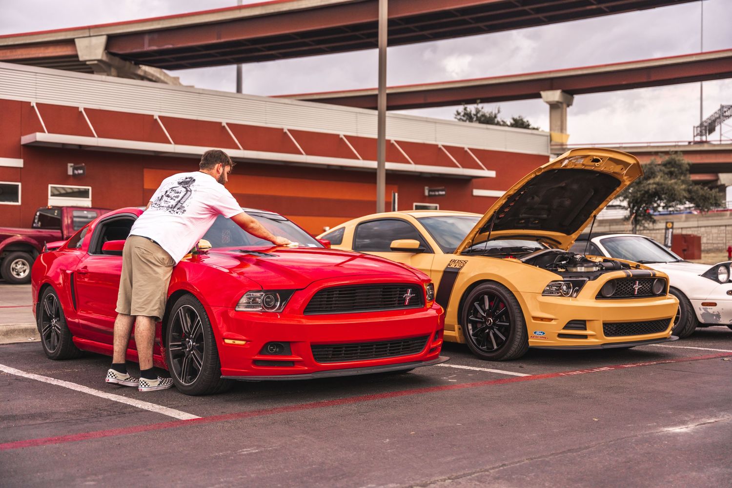 Two Ford Mustangs, one red and one yellow, displayed at a car show with their hoods open.