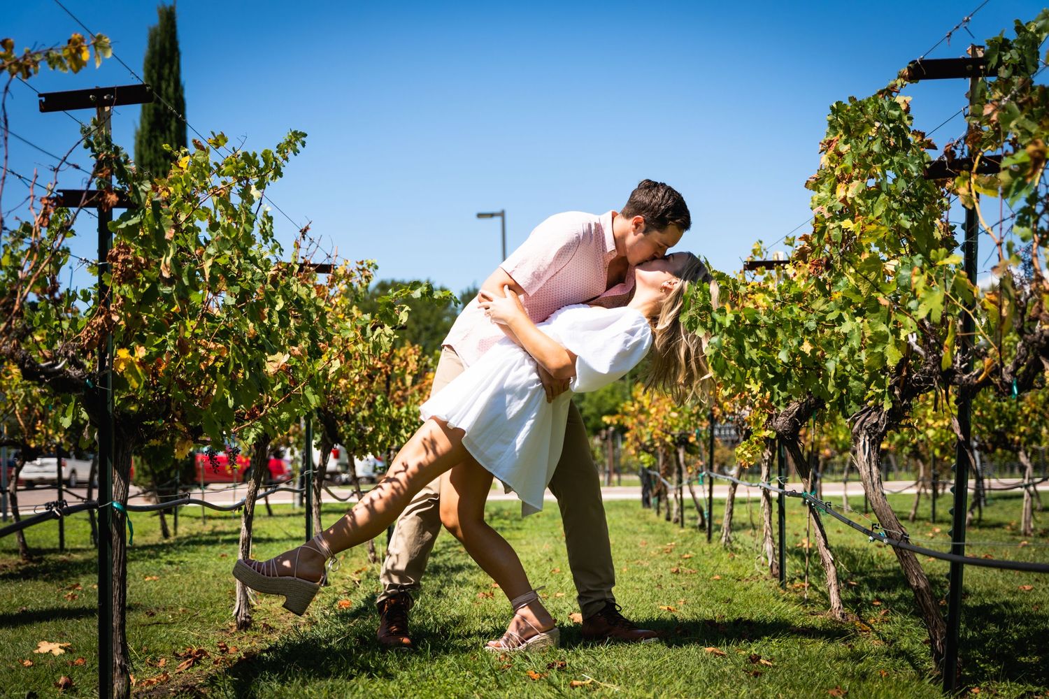 A romantic dip pose between vineyard rows on a sunny day.