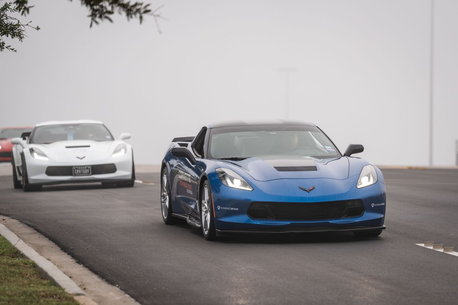 Blue and white Chevrolet Corvettes driving on a curved road.