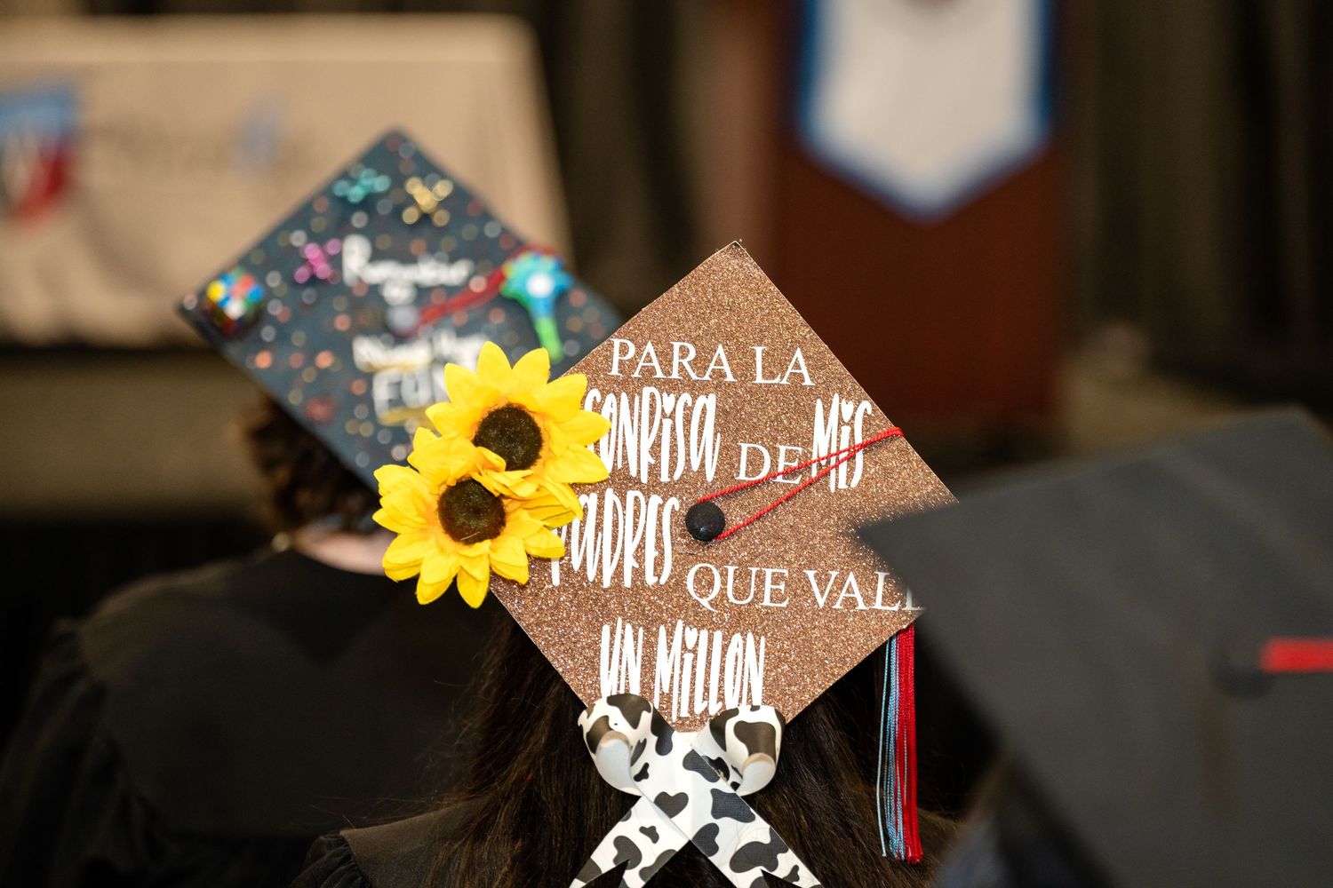 A decorated graduation cap featuring a sunflower and white text against a dark background.