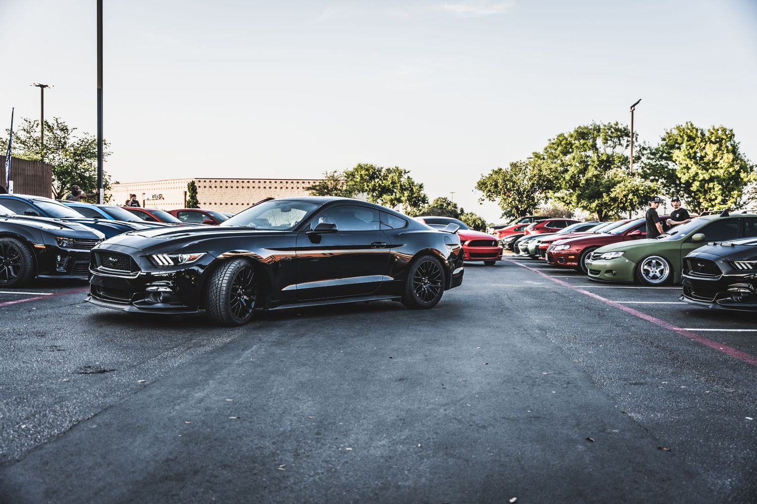 A black Ford Mustang leads a line of modified cars in a parking lot gathering.