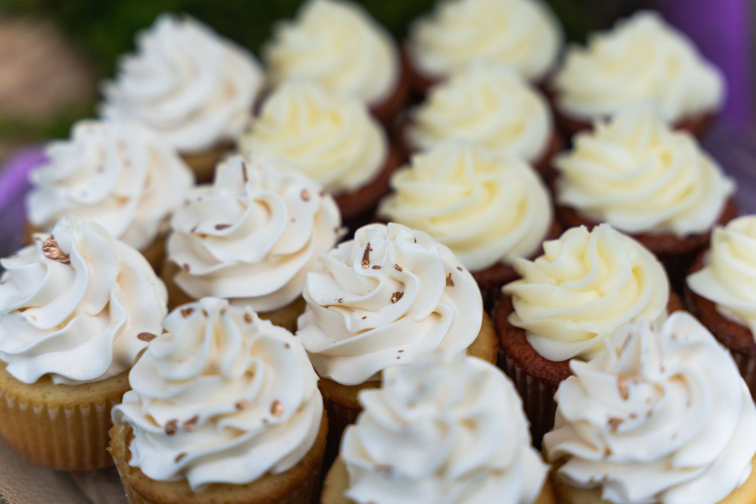Rows of vanilla cupcakes topped with swirled white frosting.