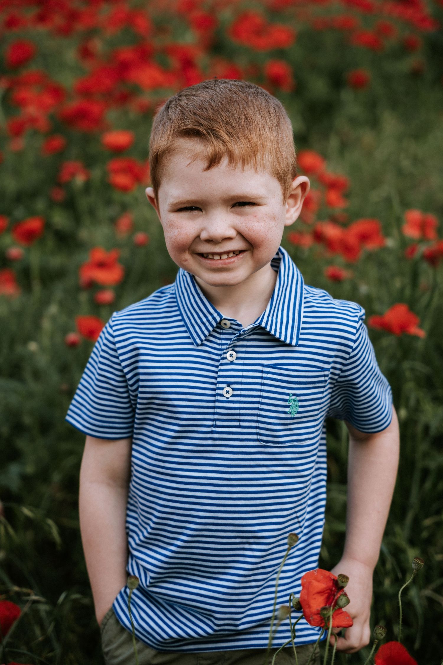 Child in blue striped polo shirt poses in front of blooming red poppies.