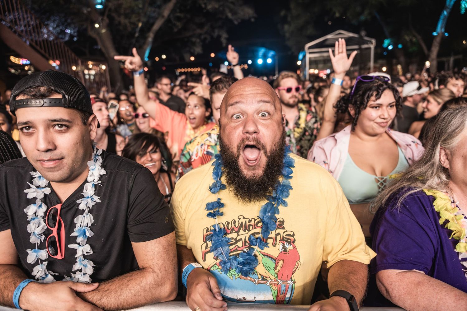 Energetic crowd of concert goers dancing and cheering at a music festival with colorful lighting.