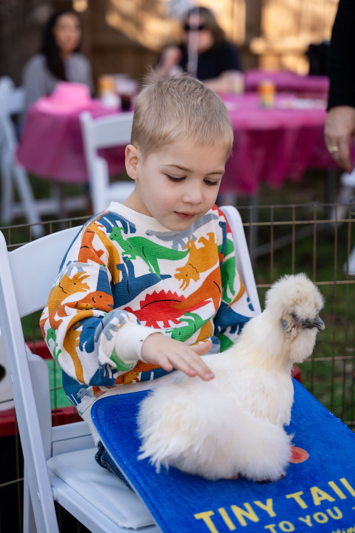 A young child in a colorful dinosaur print shirt pets a fluffy white Silkie chicken sitting on a blue cushion at an outdoor event.