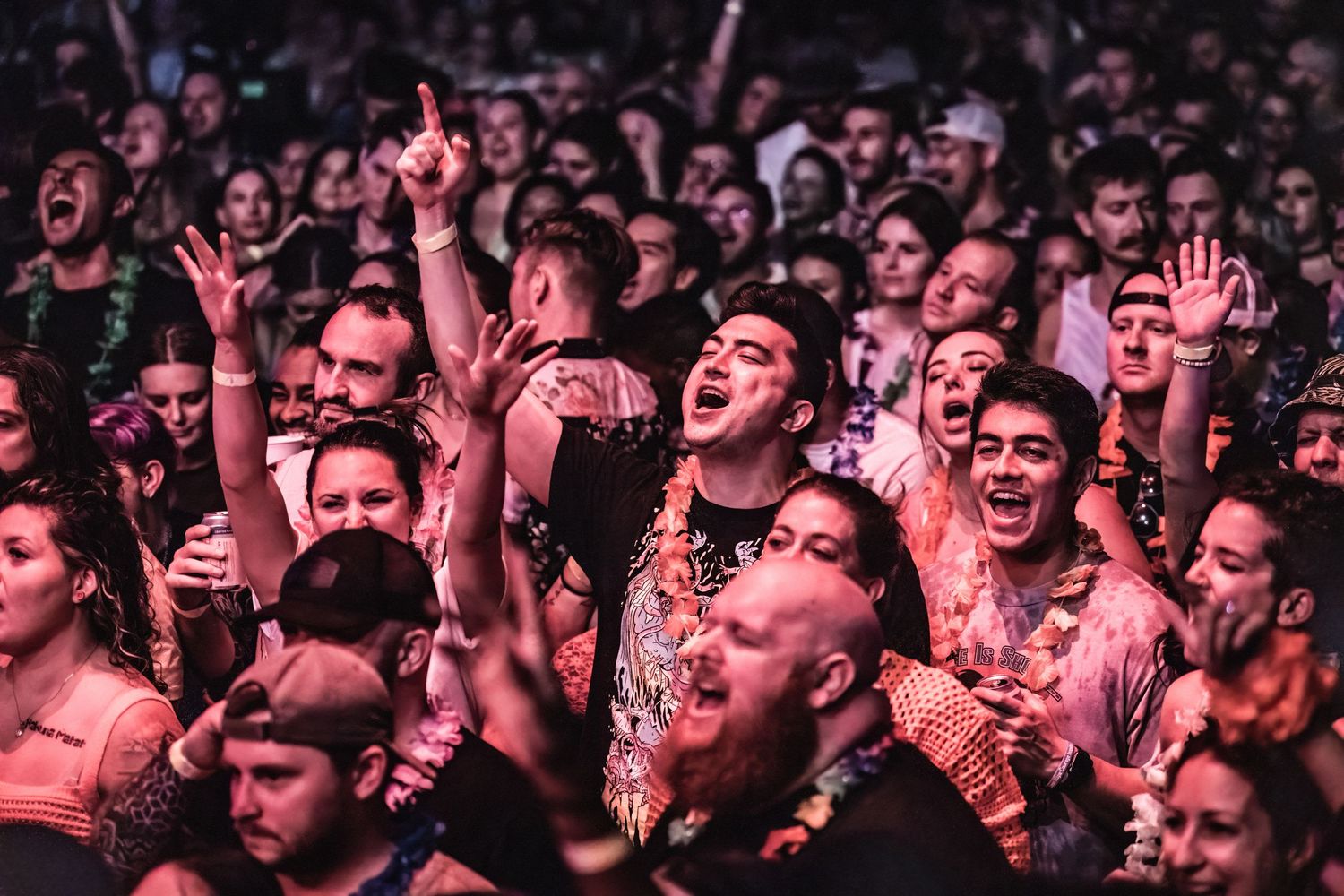 Enthusiastic concert crowd with raised hands and excited expressions under pink stage lighting.