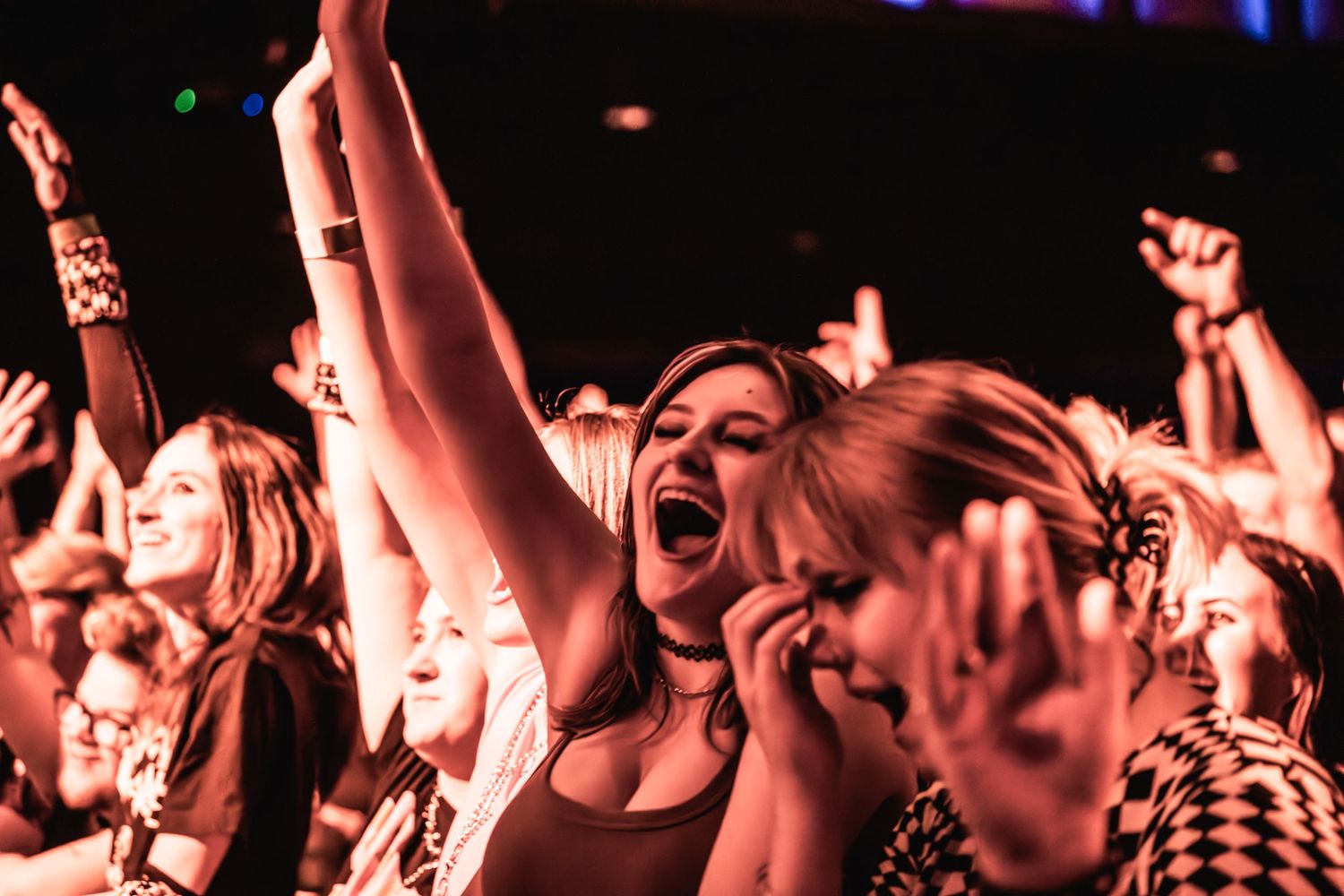 Concert crowd cheers with raised arms under pink and purple stage lighting.