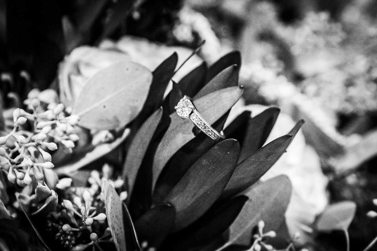 An elegant black and white photo of a diamond ring nestled in dark flower petals.