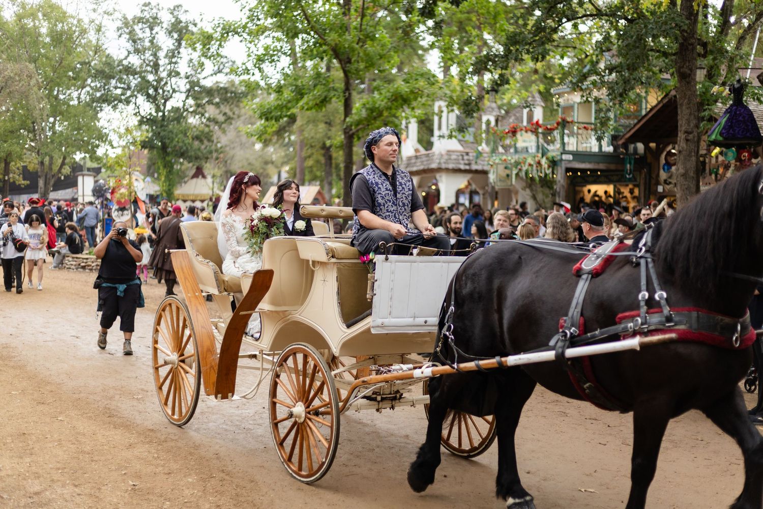 A row of horse-drawn carriages lined up at a tourist destination with trees in the background.