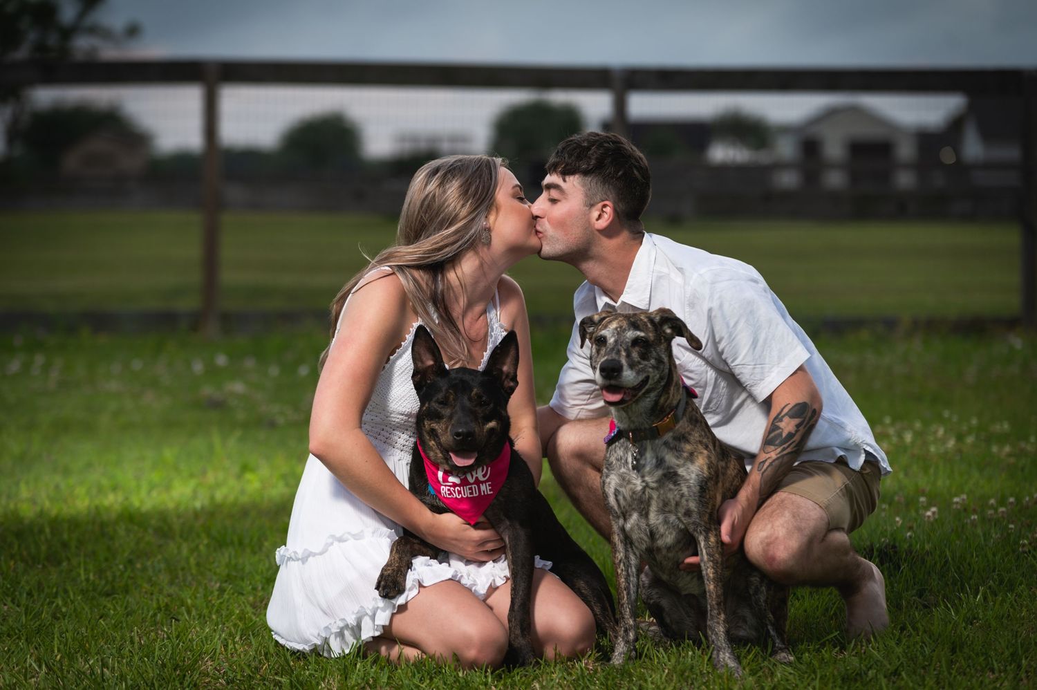 A couple poses with their two dogs on grass during an outdoor photoshoot.