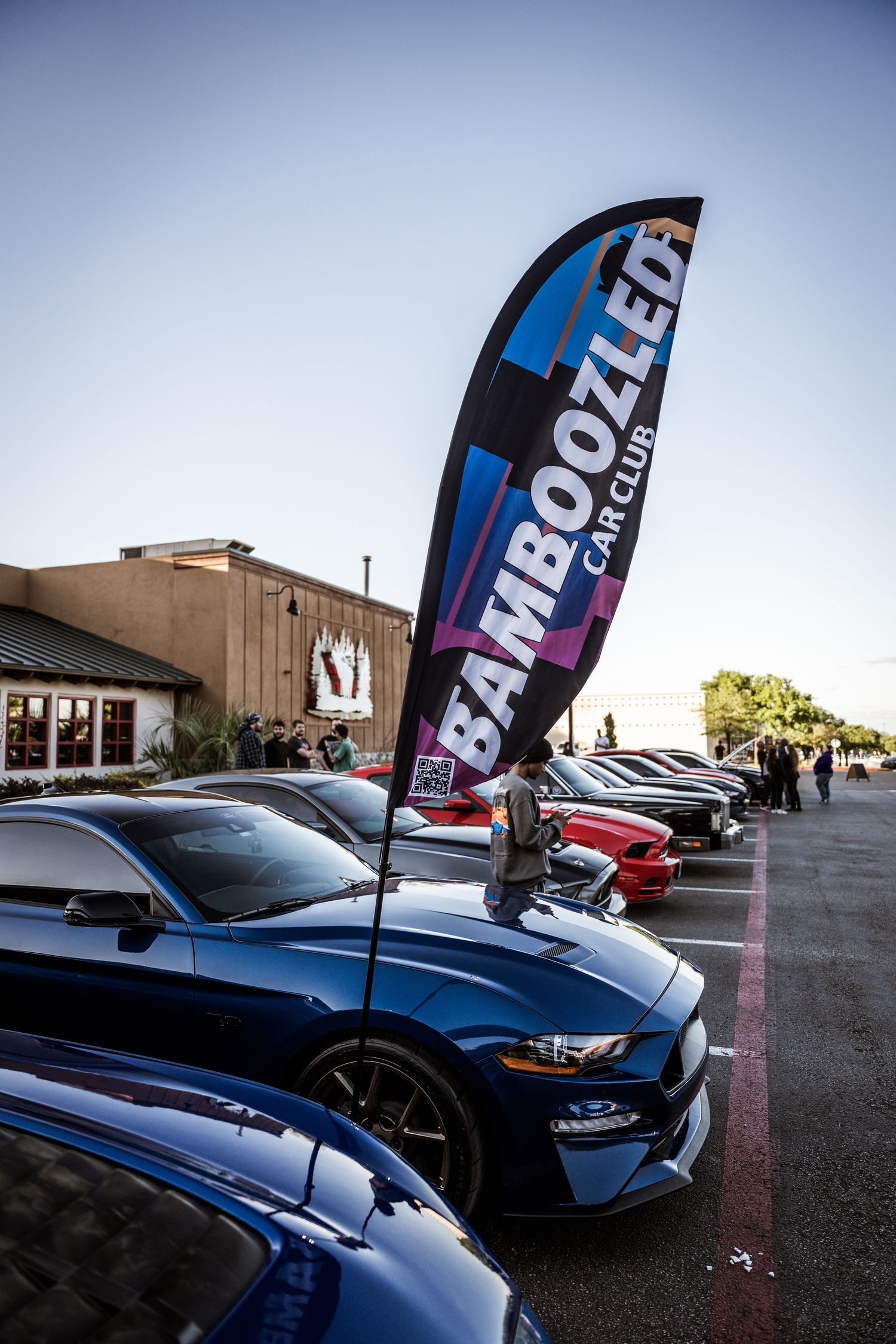 Car show display with Tamboola banner flag and row of blue Mustangs in a parking lot.