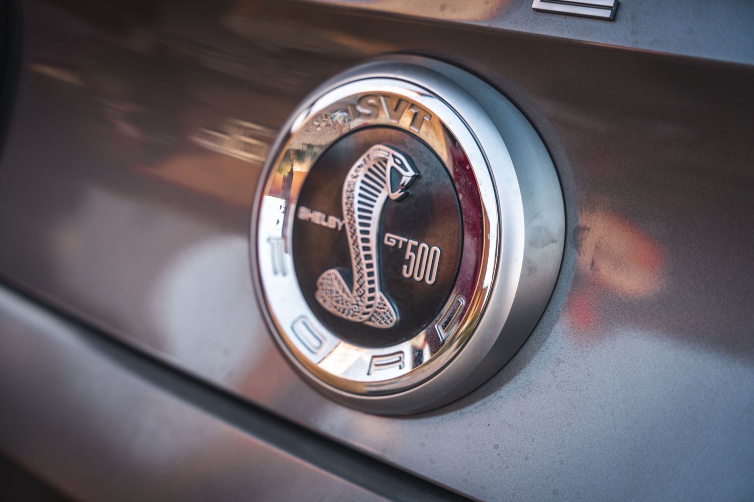 Close-up of Shelby Cobra snake emblem badge in chrome finish.
