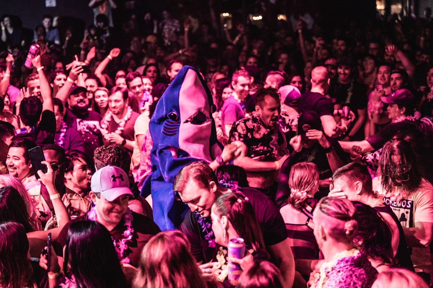 Enthusiastic crowd fills concert venue with pink and purple lighting.