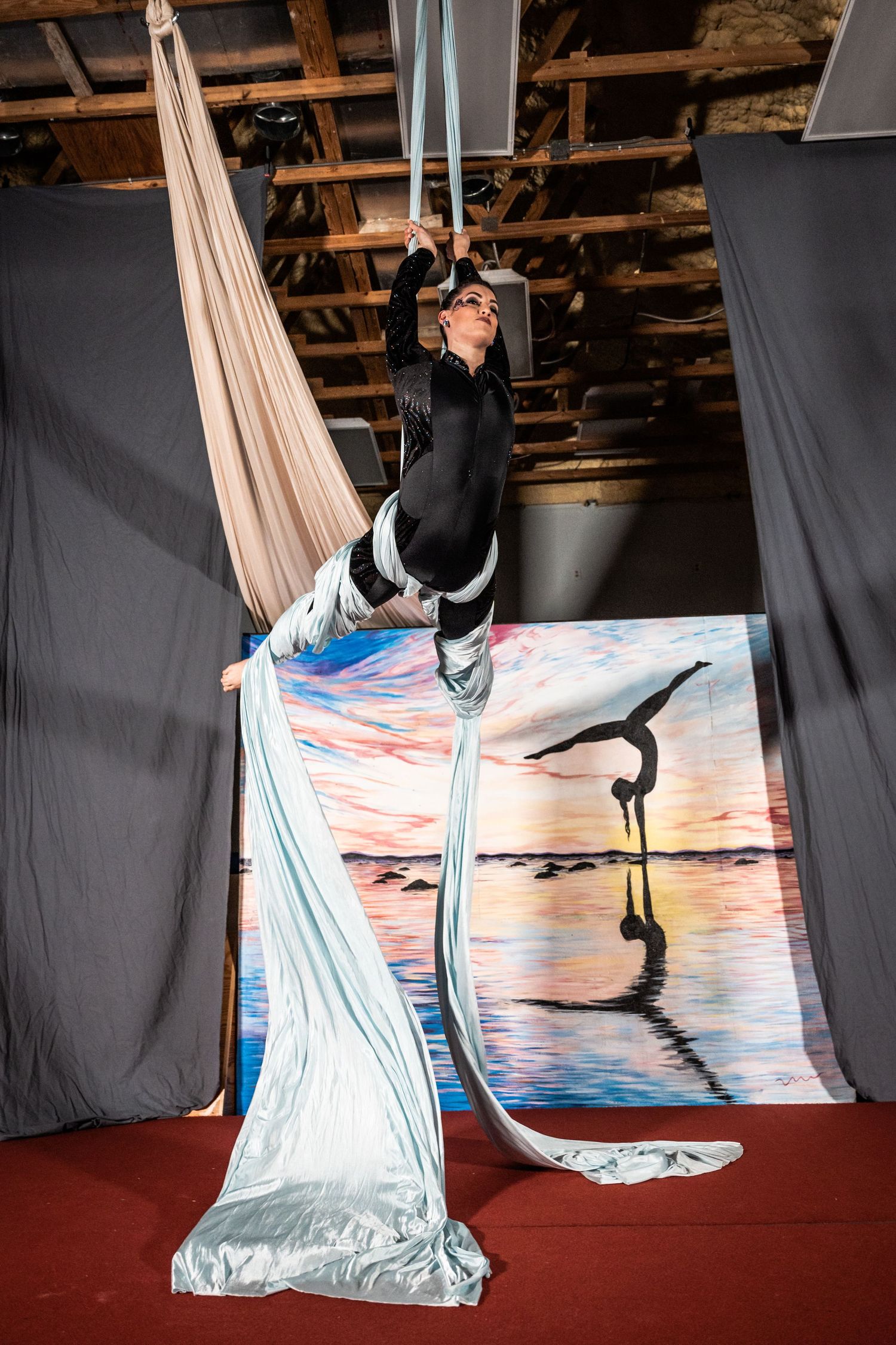 Aerial performer in black attire practicing on silk ribbons against artistic backdrop.