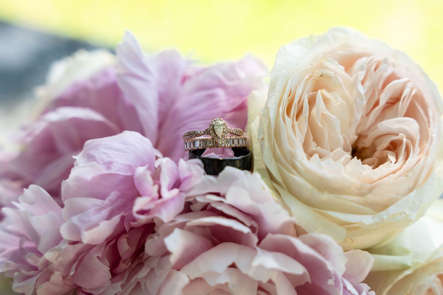 Close-up of engagement ring set against backdrop of pink and cream colored garden roses.